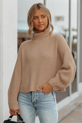 Briones Turtleneck Knit Sweater - FINAL SALE