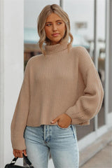 Briones Turtleneck Knit Sweater - FINAL SALE