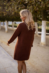 Brown Long Sleeves Sweater Knit Dress