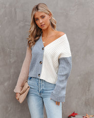 Francesco Ribbed Button Front Colorblock Cardigan - Grey