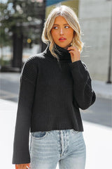 Kaylon Ribbed Turtleneck Knit Sweater - Black - FINAL SALE