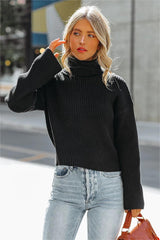 Kaylon Ribbed Turtleneck Knit Sweater - Black - FINAL SALE