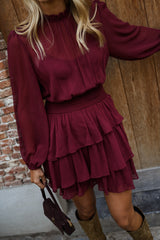 Burgundy Long Sleeves Mini Dress