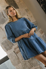 Sorrel Denim Mini Dress