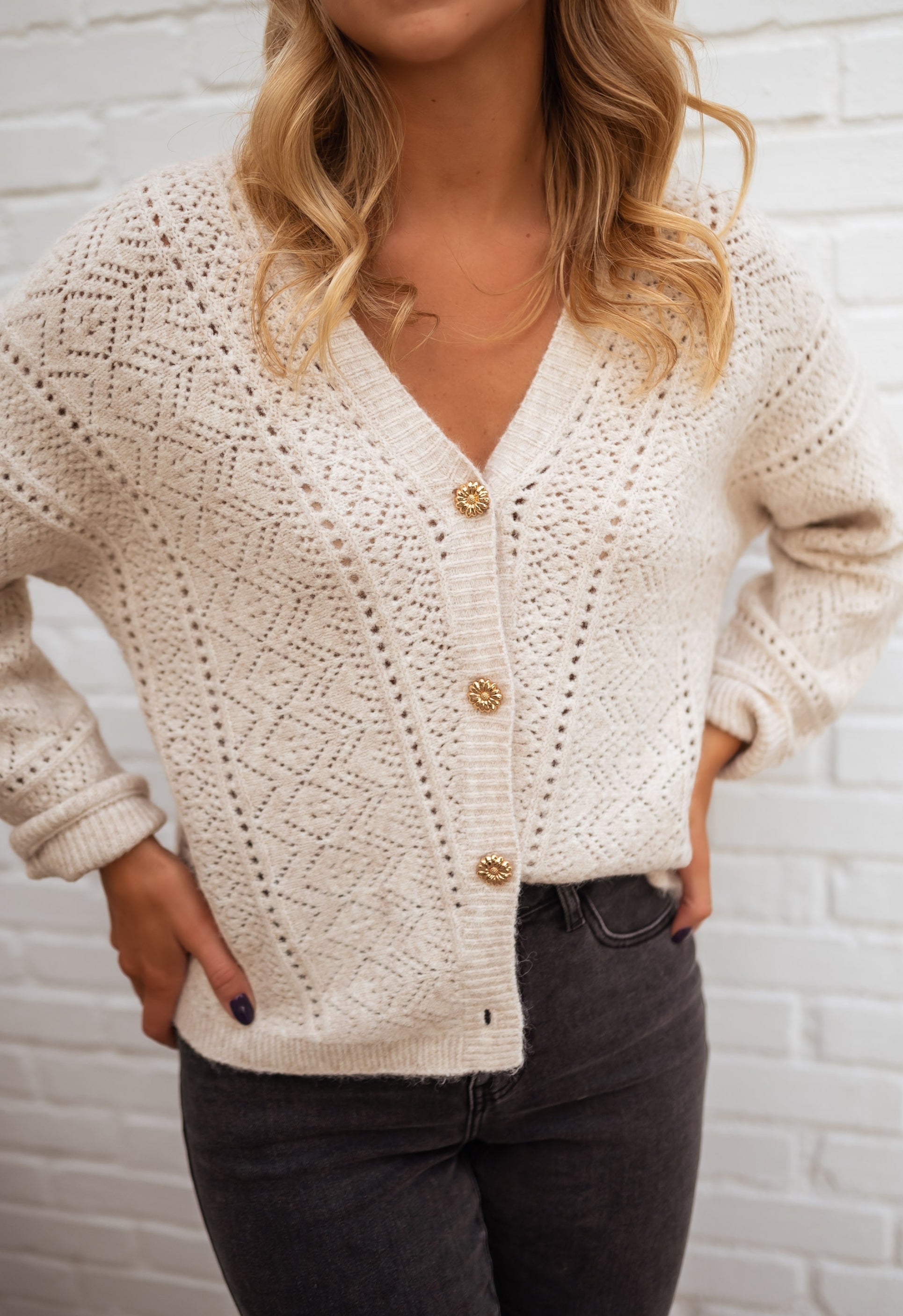 Beige Crochet Knit Cardigan