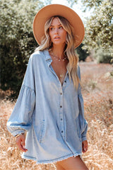 Goldendale Pocketed Chambray Button Down Dress