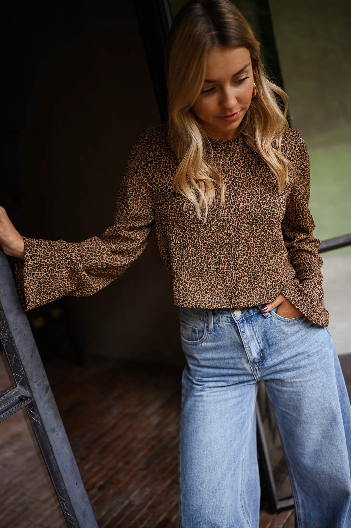 Leopard Long Sleeves Crop Blouse